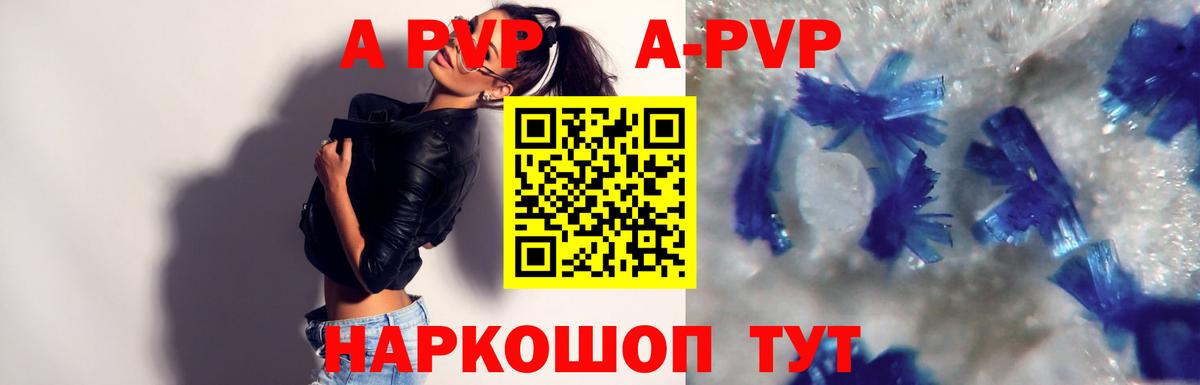 Alfa_PVP СК КРИС Вышний Волочёк