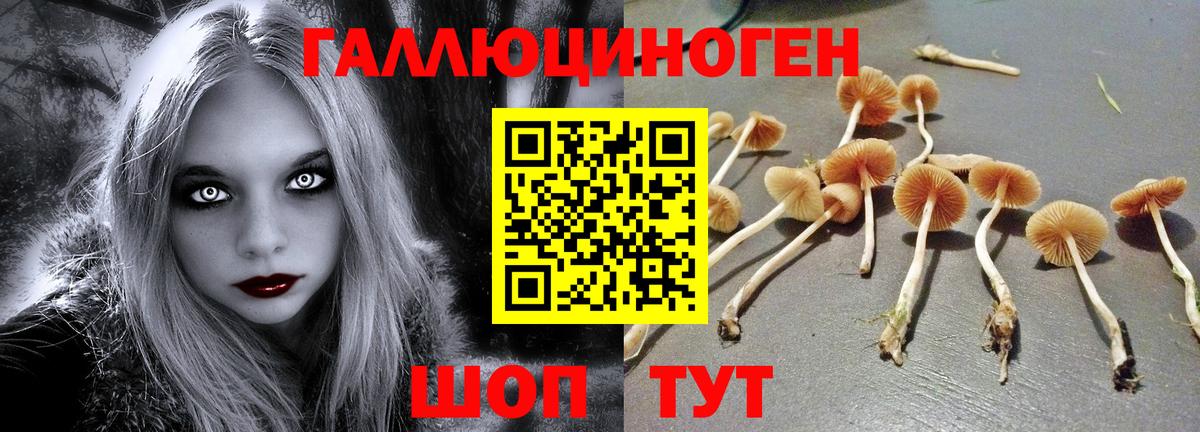 Галлюциногенные грибы ЛСД Вышний Волочёк
