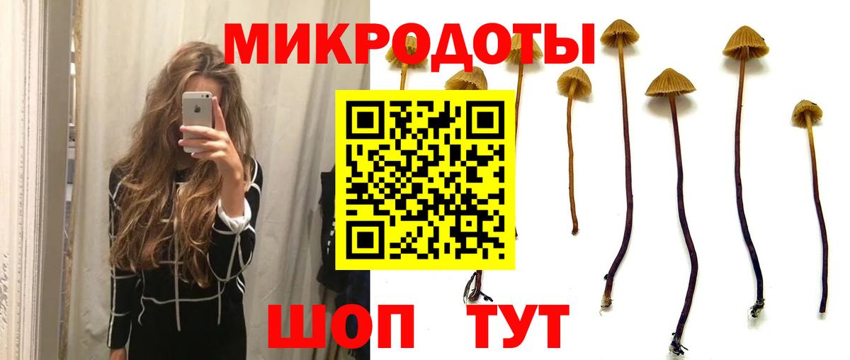 Вышний Волочёк  Псилоцибиновые грибы Cubensis  Галлюциногенные грибы Psilocybine cubensis  Вход с VPN 